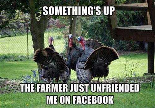 funny happy thanksgiving meme and thanksgiving memes funny
