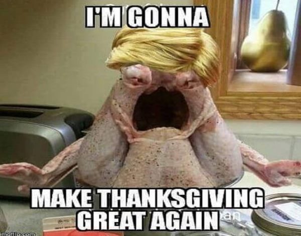 funny happy thanksgiving memes and thanksgiving week meme and dog thanksgiving memes