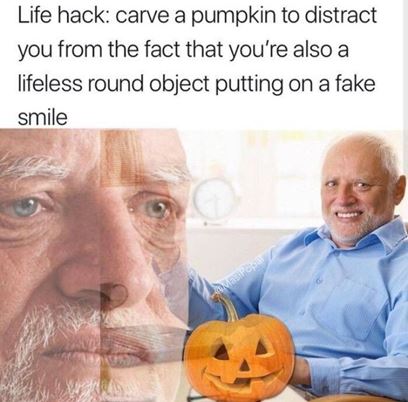 halloween pet memes and happy halloween funny meme