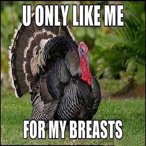happy thanksgiving meme and happy thanksgiving memes