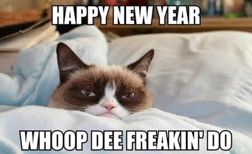 memes funny new year and cat new year