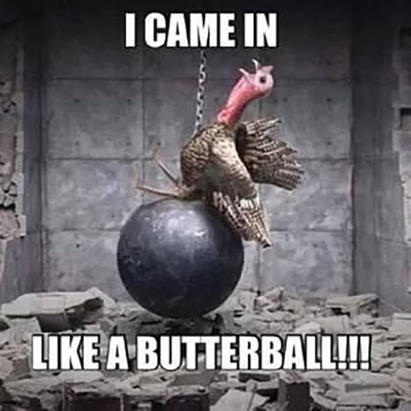 56 Funny Happy Thanksgiving Memes to Keep the Family Laughing, Turkey Memes  – FunZumo