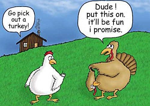 thanksgiving funny memes and thanksgiving meme funny
