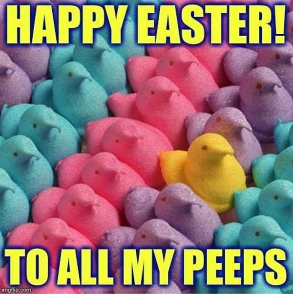 easter memes funny and easter funny