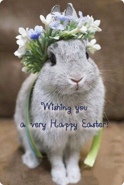 free happy easter pictures and download easter image