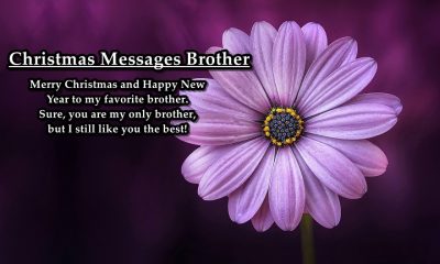 Christmas Messages For Brother Happy Merry Christmas Quotes