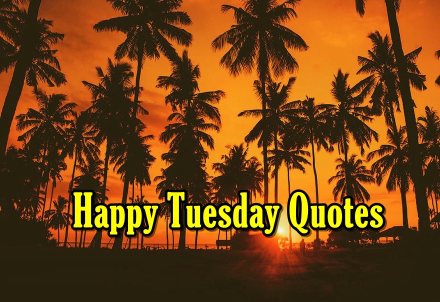 Happy Tuesday Messages Best Quotes About Tuesday