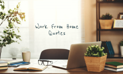 Best Work From Home Quotes Work from Home Instagram Captions