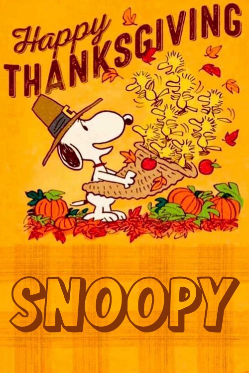 happy thanksgiving image snoopy