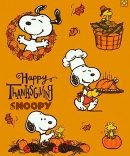 happy thanksgiving snoopy