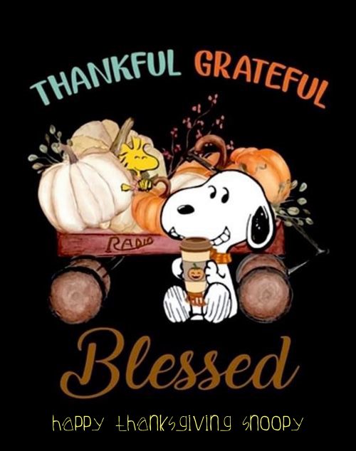 snoopy happy thanksgiving pictures
