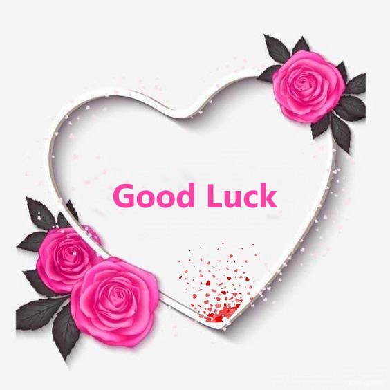 Best Good Luck Exam Wishes for Lover 4