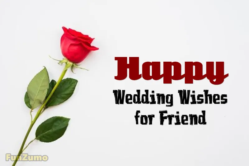 Happy Wedding Wishes for Friend