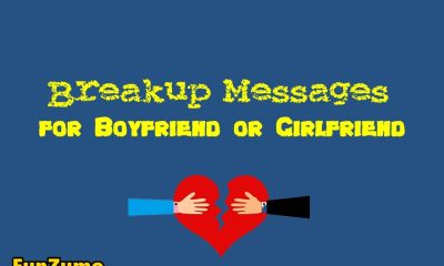 Breakup Messages for Boyfriend or Girlfriend Break Up Texts