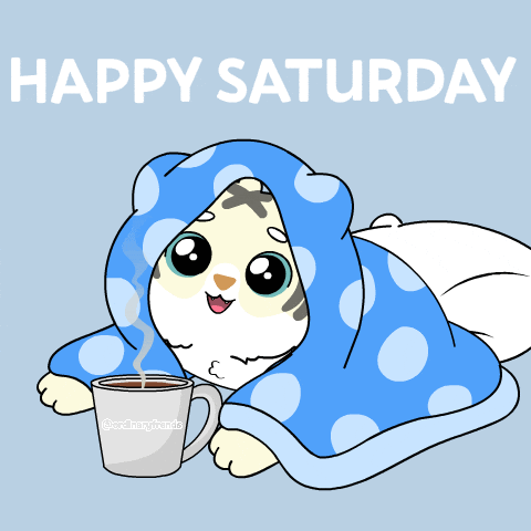 Have a Wonderful Saturday Gif