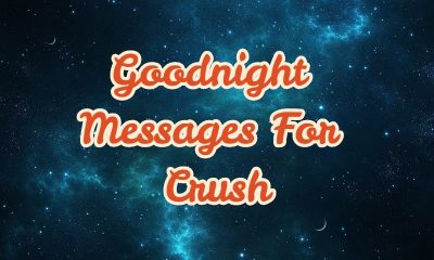 Sweet And Cute Goodnight Messages For Crush