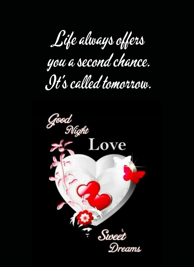 Good Night Everyone Sweet Dreams