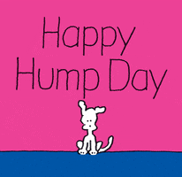 Cartoon gif. A cartoon white dog, set against a pink and blue background, is startled by the appearance of a large lump beneath its feet. Text, Happy Hump Day. Cartoon gif. A cartoon white dog, set against a pink and blue background, is startled by the appearance of a large lump beneath its feet. Text, Happy Hump Day.