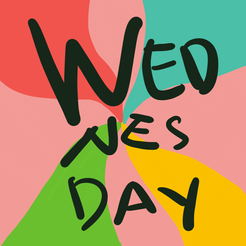 Funny Wednesday GIFs of the Week Funny Wednesday GIFs of the Week