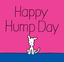 Illustrated gif. White cartoon dog sitting on the ground is launched into the air when a hump in the ground sprouts up underneath it. Text reads, Happy Hump Day. Illustrated gif. White cartoon dog sitting on the ground is launched into the air when a hump in the ground sprouts up underneath it. Text reads, Happy Hump Day.