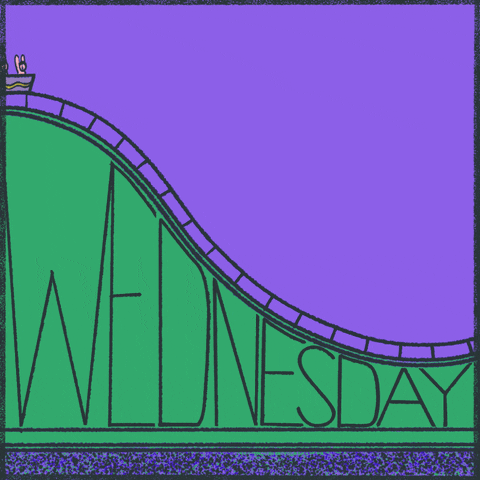 Wacky Wednesday GIF Wacky Wednesday GIF