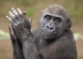 Best GIFs Of the Week to Share your Friend (3)