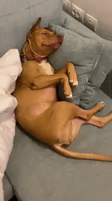 Best GIFs Of the Week to Share your Friend (7)