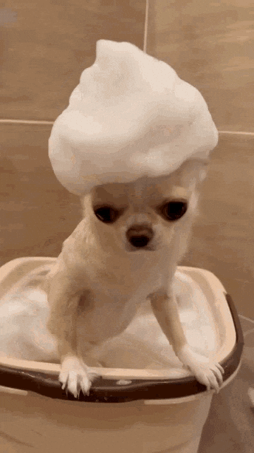 Best GIFs Of the Week to Share your Friend (9)