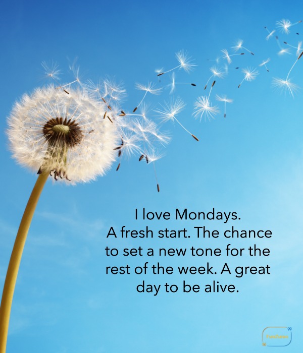 Positive Monday quote with a dandelion dispersing seeds against a blue sky.