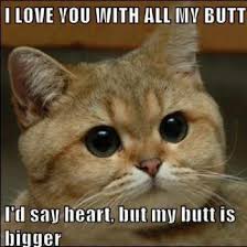 cute love boyfriend memes