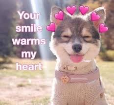 cute love memes for girlfriend