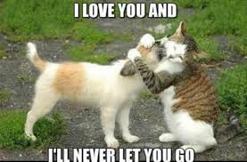cute love memes for her