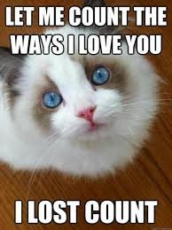 cute love memes to send to your girlfriend