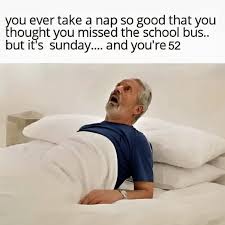dumb humor memes