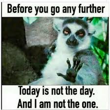 funny hilarious meme