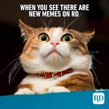 hilarious funny breakup memes