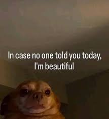 hilarious memes ever