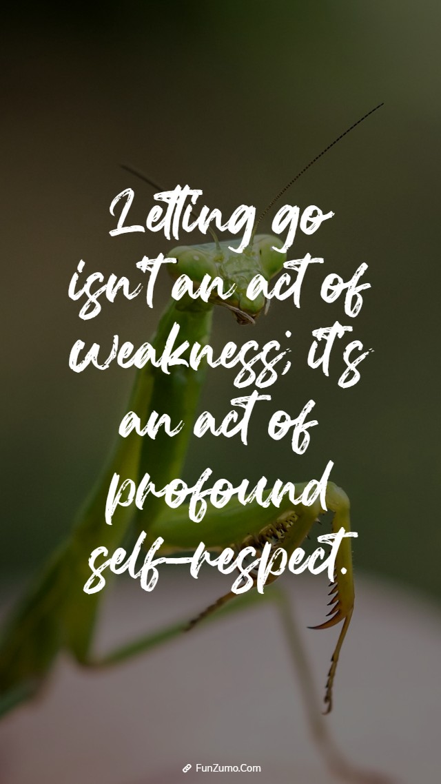letting go to move forward quotes about change to inspire