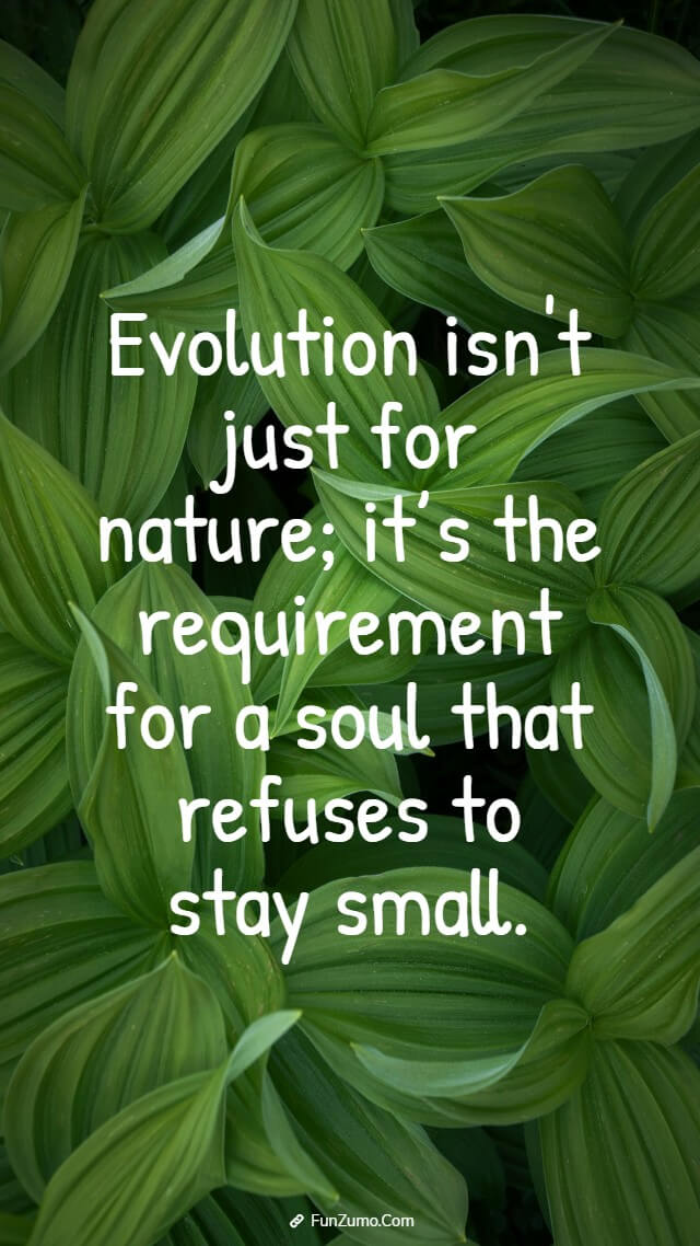 the power of personal evolution