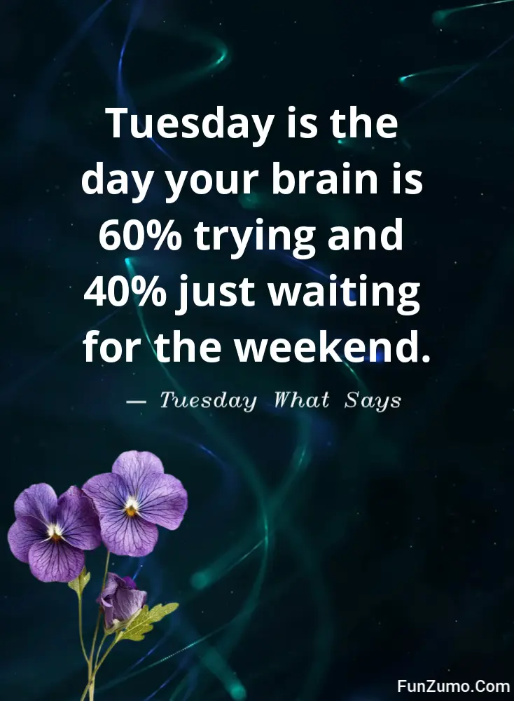 A funny Tuesday quote reading 'Tuesday is the day your brain is 60% trying and 40% just waiting for the weekend.' attributed to Tuesday What Says on a dark cosmic light trail background with purple pansies.